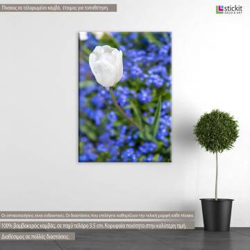 Canvas print Water drops