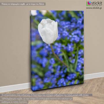 Canvas print Water drops View 1 2