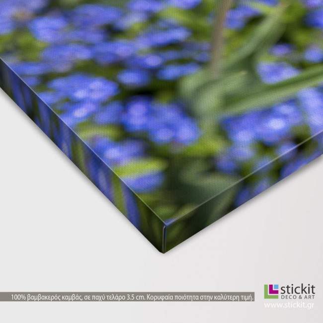 Canvas print Water drops, detail