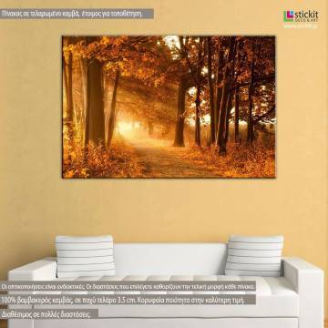 Canvas print  Autumn sunbeams