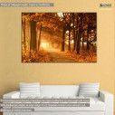 Canvas print  Autumn sunbeams