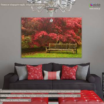 Canvas print Forest bench