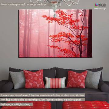 Canvas print Forest magic mist