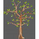 Watercolors tree, αυτοκόλλητο τοίχου, κοντινό
