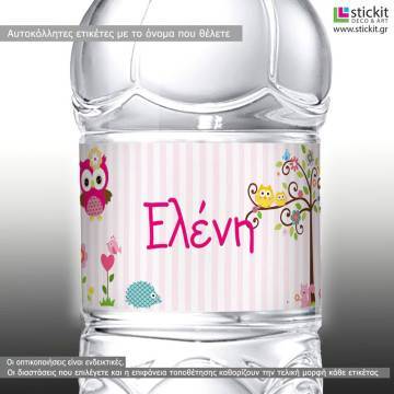 Αυτοκόλλητη ετικέτα My cute owl,  με όνομα και ημερομηνία