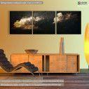 Canvas print Night sky,  3 panels