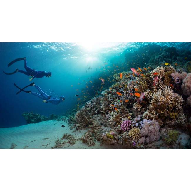 Wallpaper Walk on the seabed