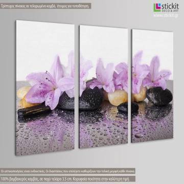 Canvas print Pink flowers,3 panels 2