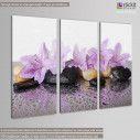 Canvas print Pink flowers,  3 panels, side