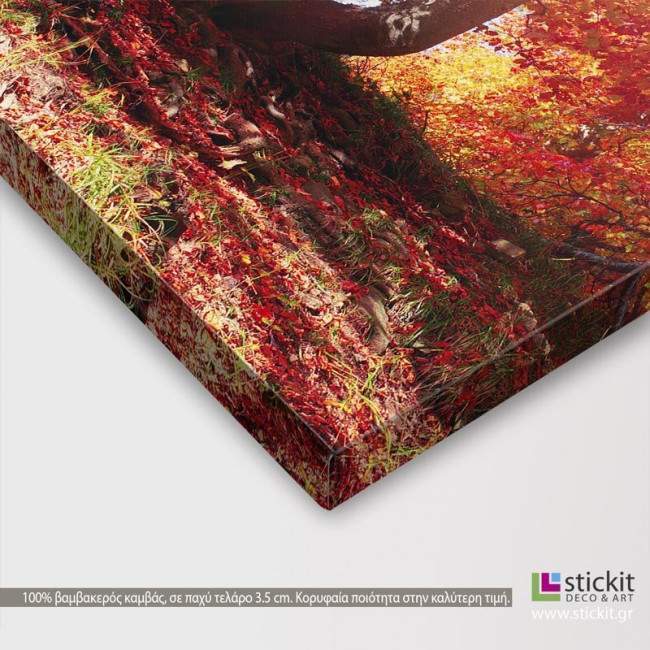 Canvas print Autumn forest, Autumn fantasy, detail