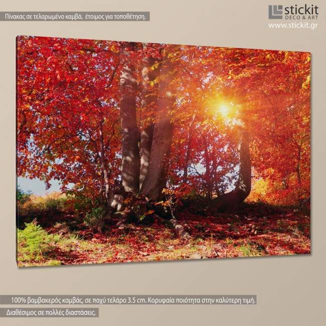 Canvas print Autumn forest, Autumn fantasy, side