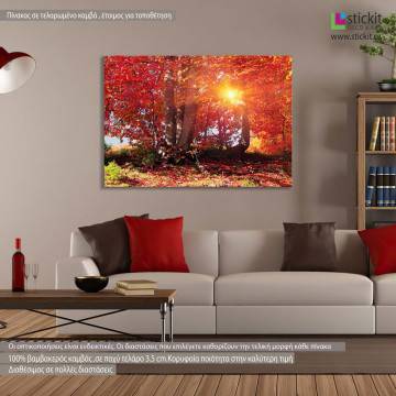 Canvas print Autumn forest, Autumn fantasy