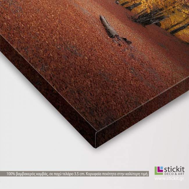 Canvas print Autumn colors forest,  3 panels, detail