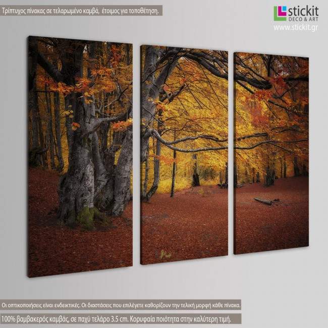 Autumn colors forest, τρίπτυχος πίνακας σε καμβά, κοντινό