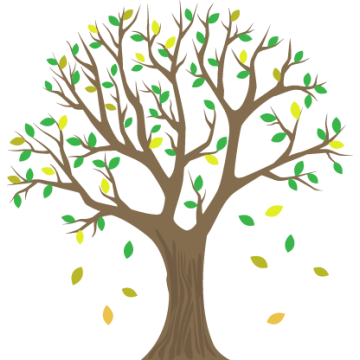 Wall stickers  Lime tree 2