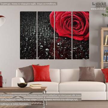 Canvas print Rose with water drops four panels