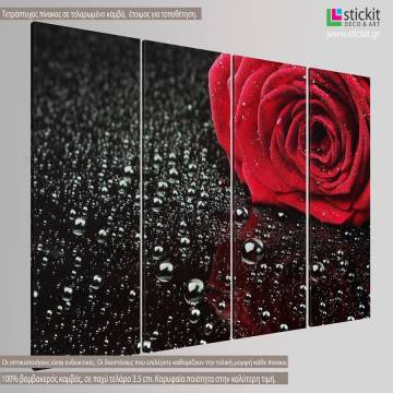Canvas print Rose with water drops four panels 2