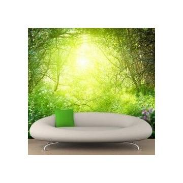 Wallpaper In the woods