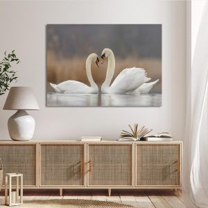Canvas print Swans in love, nature wall art stretched canvas, two white swans forming heart on water 2