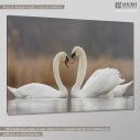 Canvas print Swans in love, side