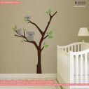 Kids wall stickers Koala family tree