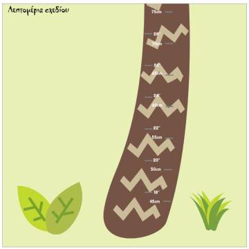 Wall stickers height measure, Little Gorilla, lion, giraffe and tree, Love nature 2
