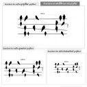 Wall stickers Birds on wire