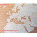 Wooden sign World map