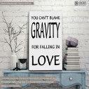 Πίνακας σε καμβά You can't blame gravity for falling in love