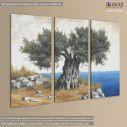 Canvas print Olive tree by the sea,  3 panels, side