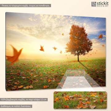 Canvas print  Maple tree in autumn 2