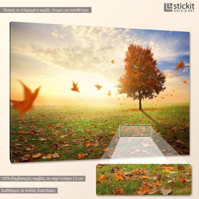 Canvas print  Maple tree in autumn, side