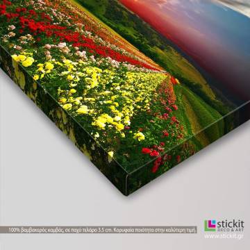 Canvas print Colorful nature 2
