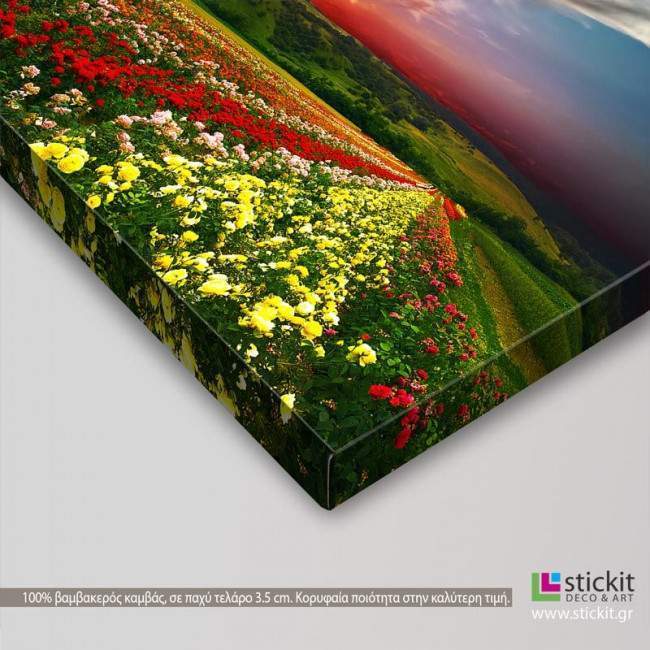 Canvas print Colorful nature, side