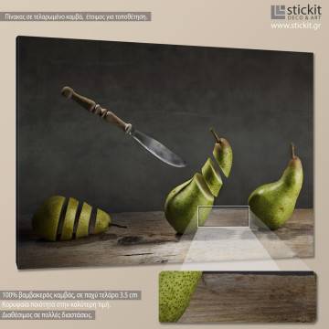 Πίνακας σε καμβά Pear art