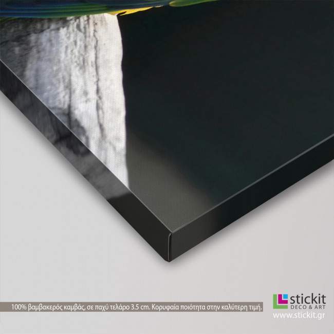 Canvas print Lovebirds, side