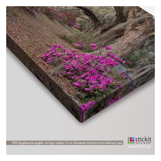 Canvas print Azaleas, panoramic, side