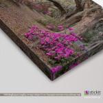 Canvas print Azaleas, panoramic, side