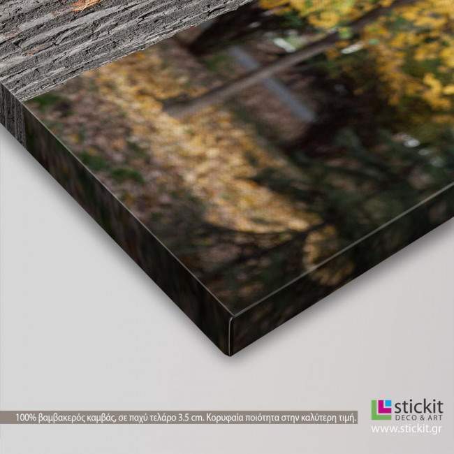 Canvas print heart , Carved heart, side