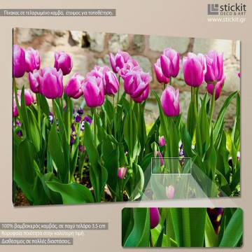 Πίνακας σε καμβά Ροζ τουλίπες, Pink tulips I