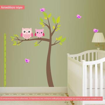 Kids wall stickers height measure, My owl friends