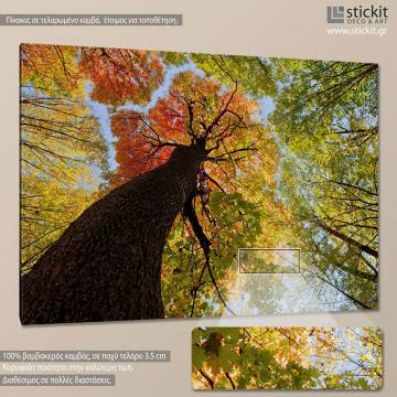 Canvas print End of summer 2