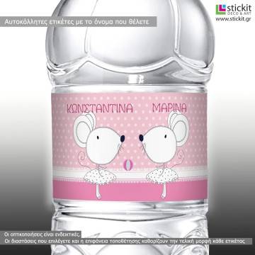 Αυτοκόλλητη ετικέτα Ποντικίνες,  με όνομα και ημερομηνία