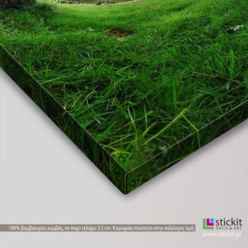 Canvas print Tree, Grass tunnel tree 2