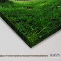 Canvas print Tree, Grass tunnel tree, side