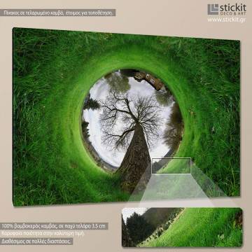 Canvas print Tree, Grass tunnel tree