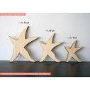 Wooden figure  Starfish