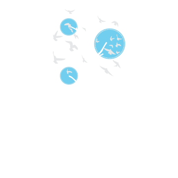 Αυτοκόλλητο τοίχου Design tree,  λευκό - γαλάζιο με πουλιά 2