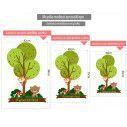 Kids wall stickers Forest animals for boys