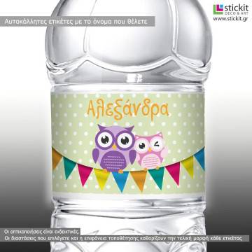 Sticker label Owls couple